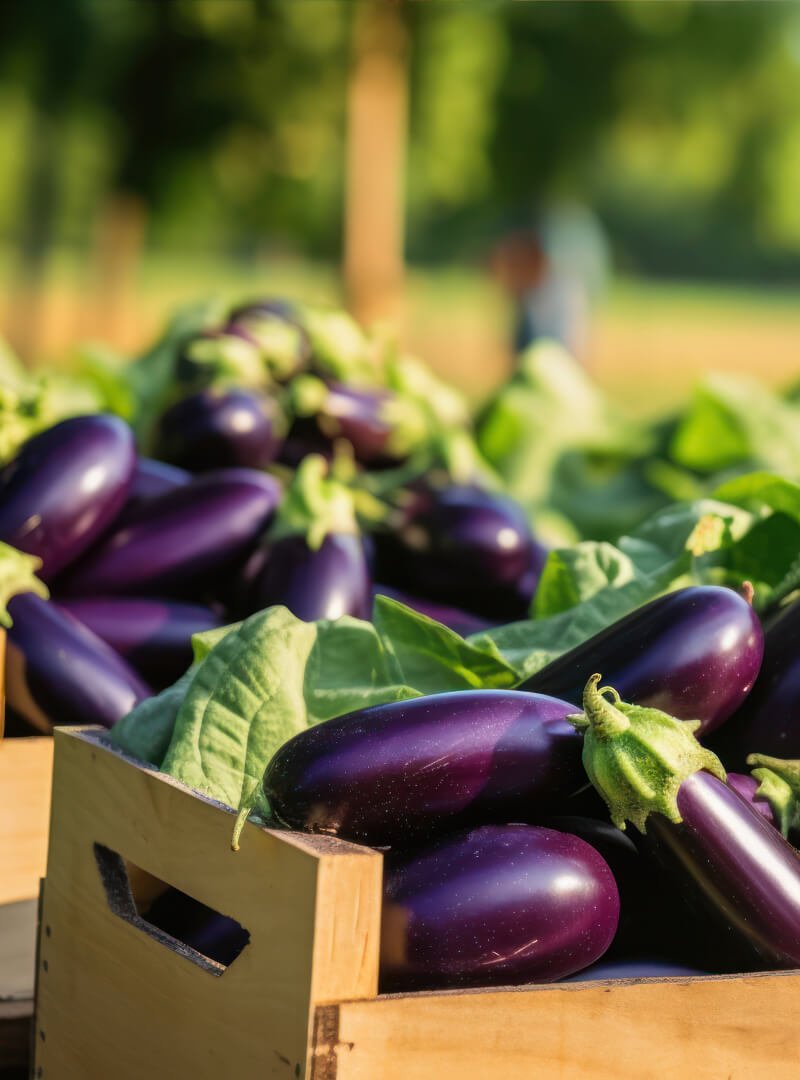 Eggplant inner image