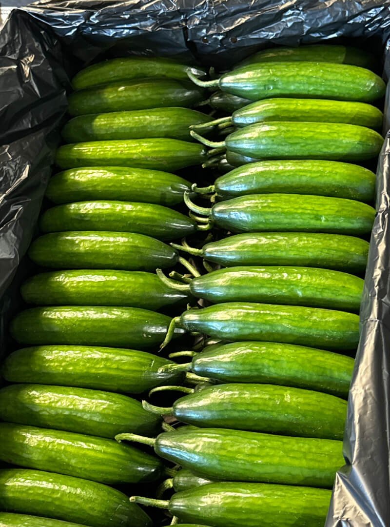Cucumber img