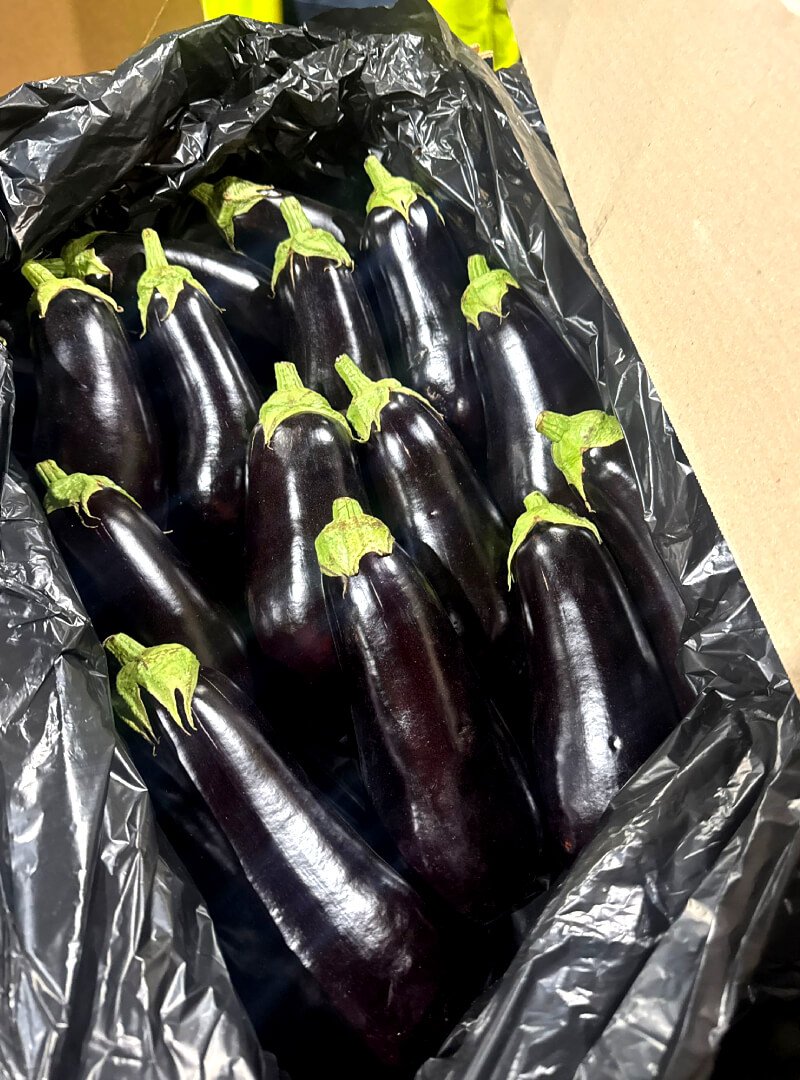 Egg Plant img